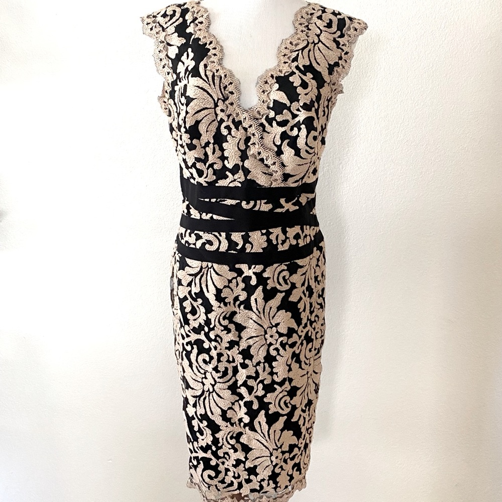 Tadashi Shoji Nude and Black Lace Formal Dress
